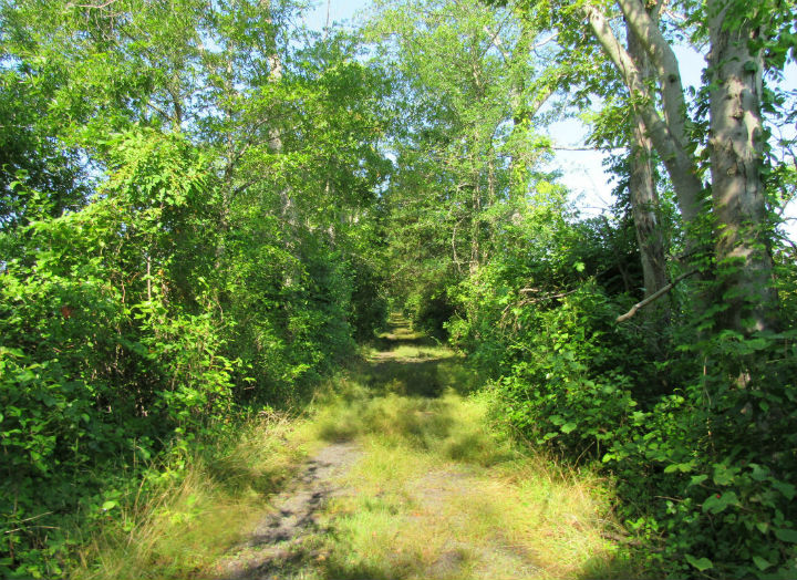 Herp Habitat